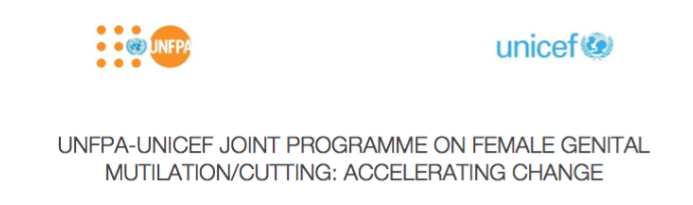 UNFPA-UNICEF Regional FGM Workshop