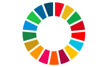 UN INFO: Promoting Transparency, Collaboration and Accountability in Country Programming